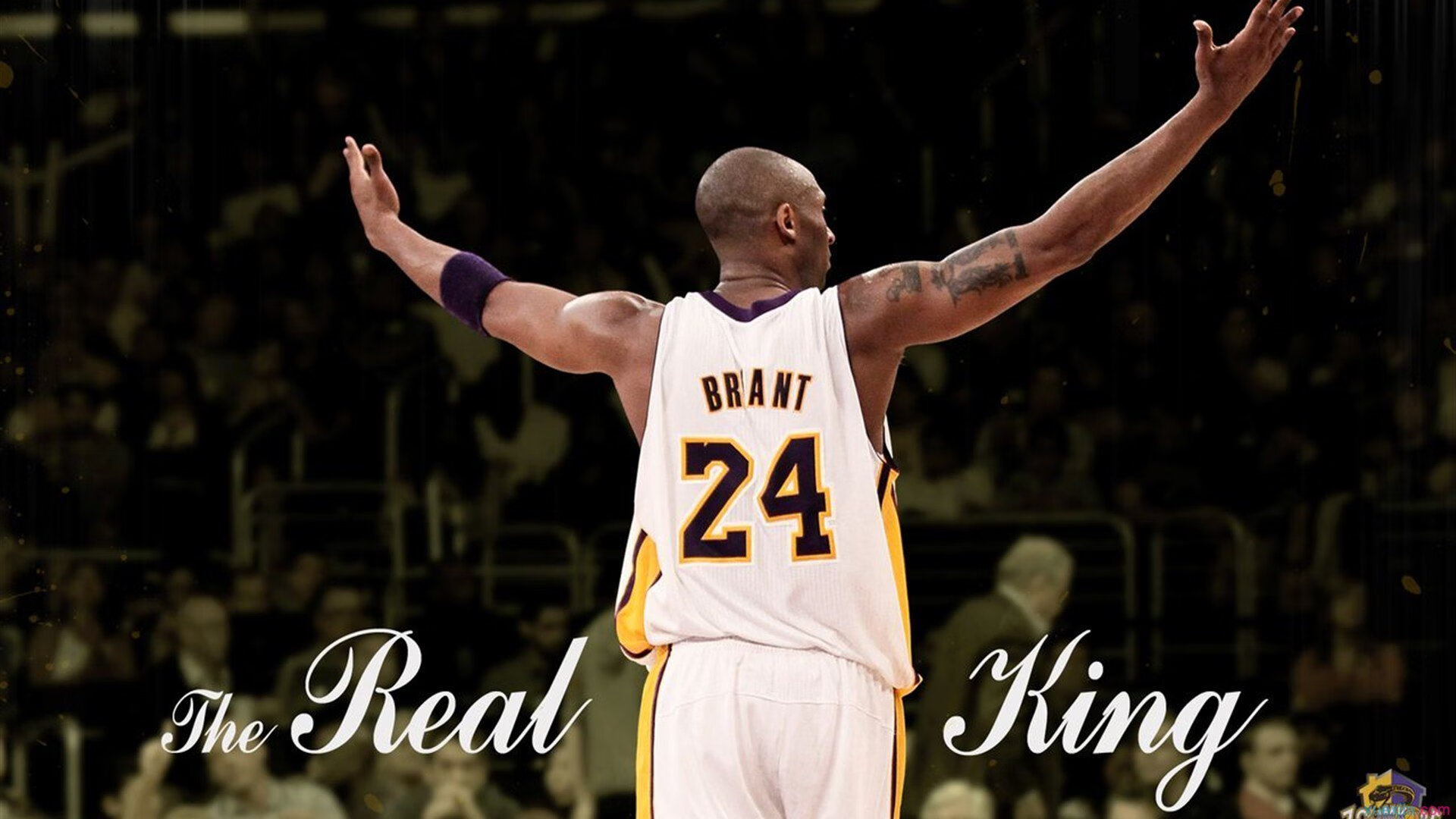 迪马利亚的羽翼,当智利樱花在绿茵场同时绽放