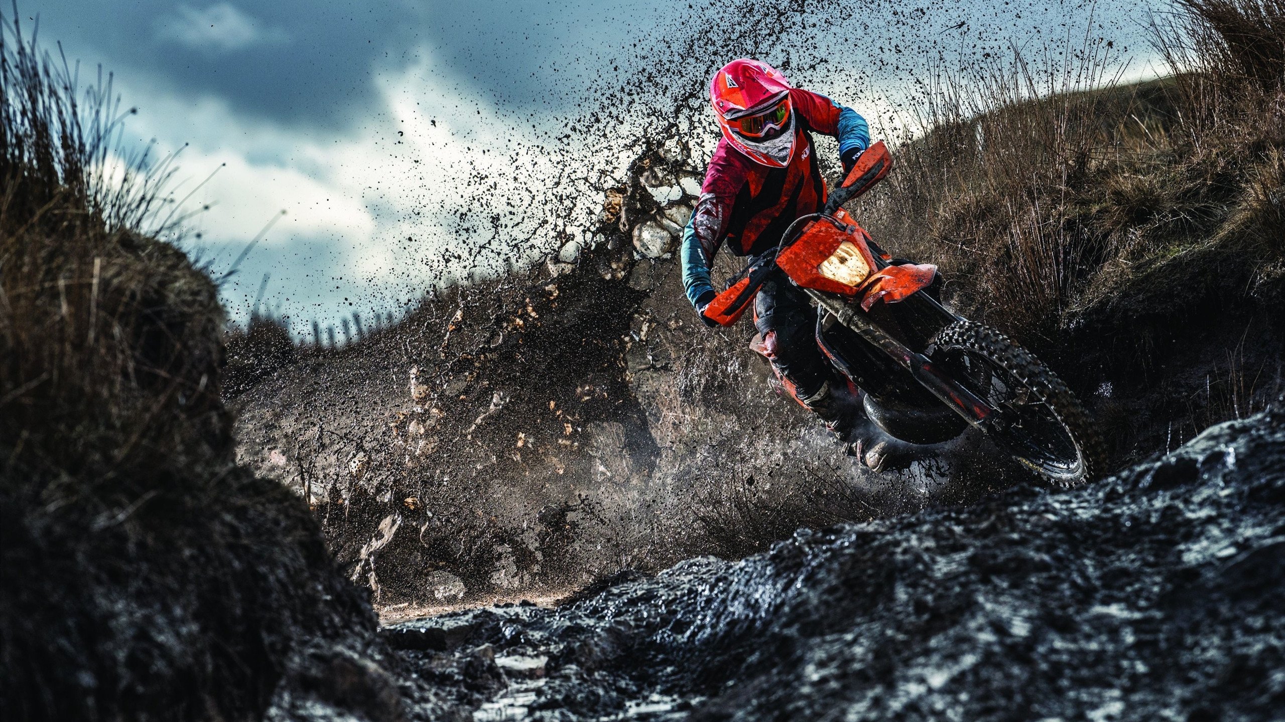 奥纳纳用实力证明自己，突尼斯对阵韩国，一场跨越国界的足球对话